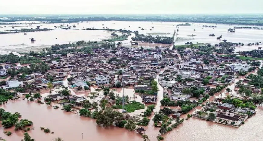 बाढ़ की चपेट में आए अमृतसर के 190 गांव, 5 लोगों की मौत, कई घर हुए तबाह 