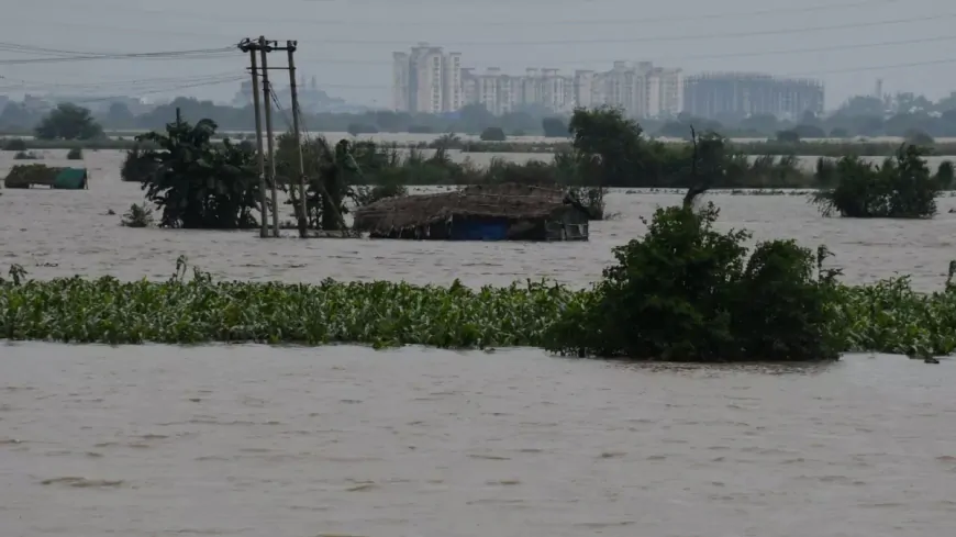 यमुना का घटा जलस्तर...बाढ़ का खतरा बरकरार, कई इलाकों में जलभराव ने बढ़ाई परेशानी