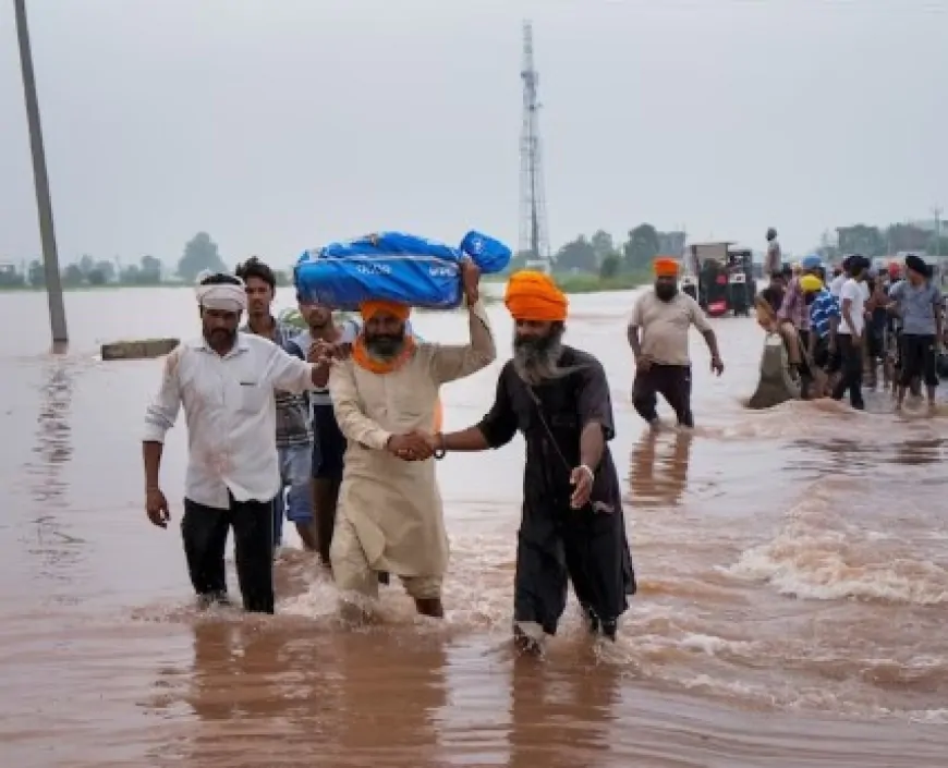 पंजाब के सभी जिलों में बाढ़ का असर, करीब 1.74 लाख हेक्टेयर फसल बर्बाद