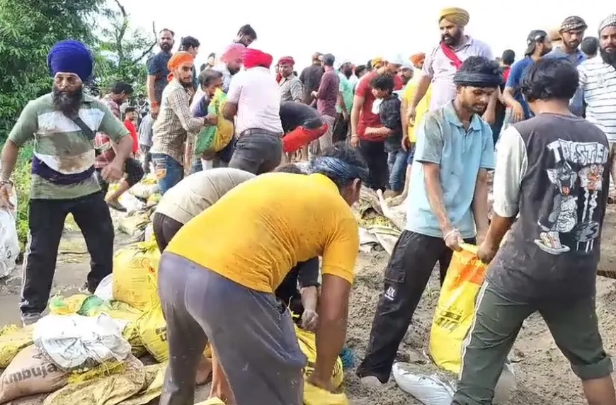 पंजाब में बाढ़ बानी आफत, रिंग बांध को पक्का करने में जुटा प्रशासन