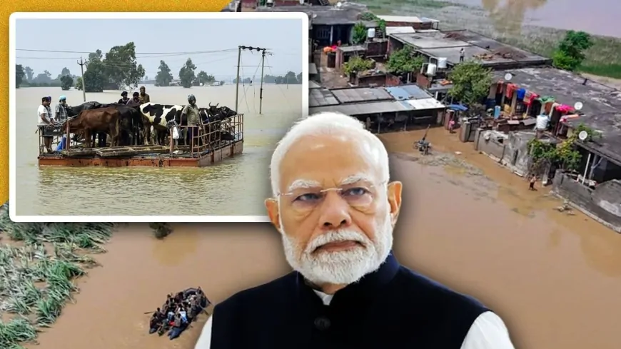 9 सितंबर को पंजाब जाएंगे PM नरेंद्र मोदी, बाढ़ प्रभावित इलाकों का करेंगे दौरा