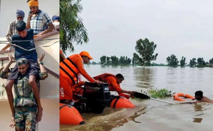पंजाब के सभी जिलों में बाढ़ का असर, बरनाला, बाढ़ के बाद NDRF-सेना की टीमों ने संभाला मोर्चा