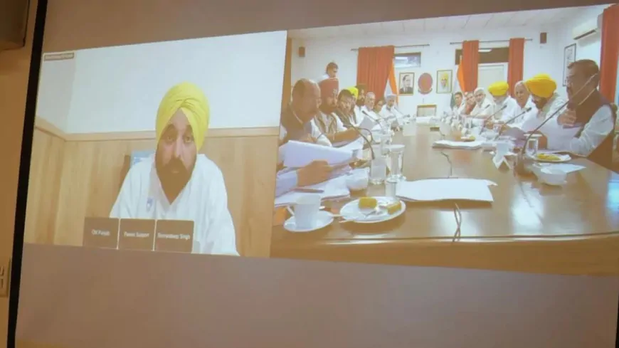 'मान' सरकार का बड़ा फैसला, किसानों को मिली खेतों से रेत निकालने की इजाजत