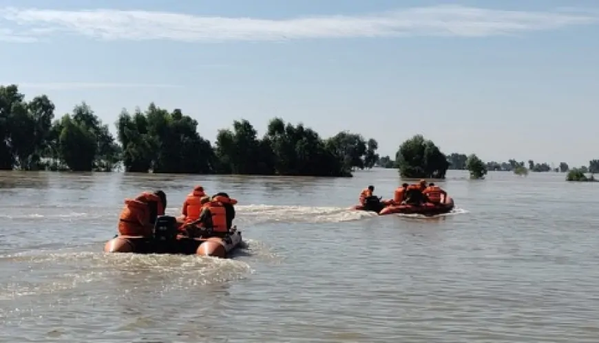 पंजाब के सभी जिलों में बाढ़ का असर, पंजाब में बाढ़ से मरने वालों का आंकड़ा बढ़ा
