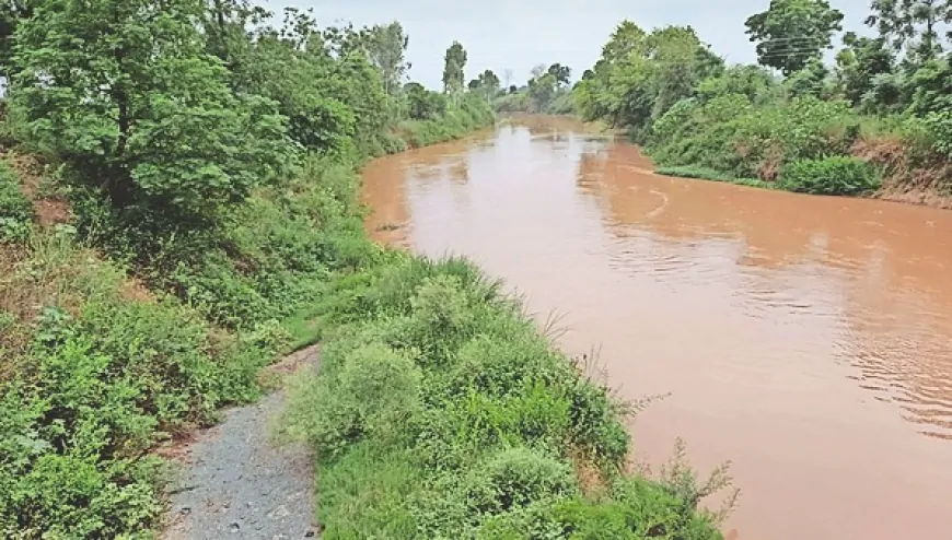 DC ने घग्गर नदी के जलस्तर को लेकर दी जानकारी, नदी के जलस्तर पर प्रसासन की कड़ी नजर- DC