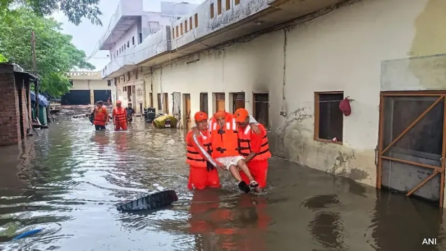 पंजाब में धीरे धीरे हालात हो रहे सामान्य, रावी, सतलुज, ब्यास का तेजी से घट रहा जलस्तर