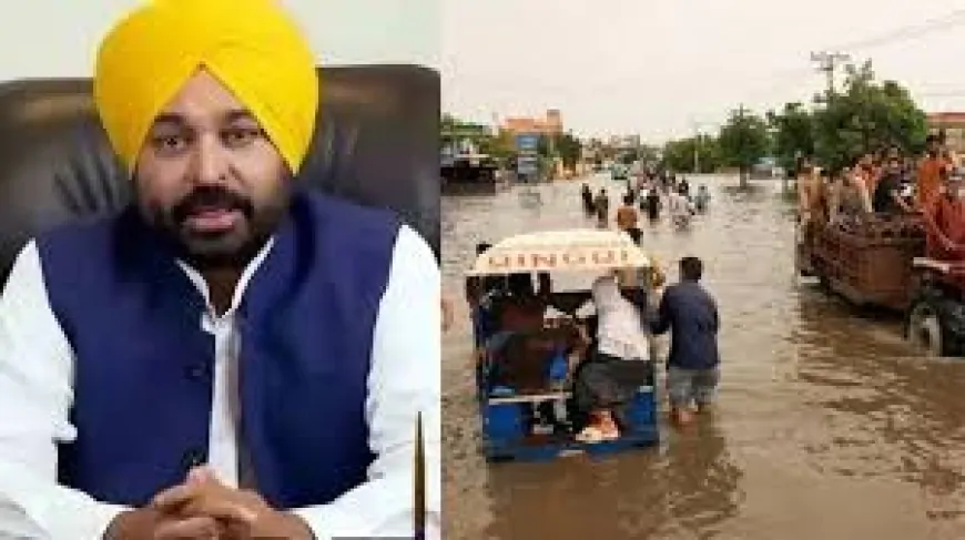 पंजाब में धीरे-धीरे सामान्य हो रहे हालात, बाढ़ के बाद चलाया गया सफाई अभियान