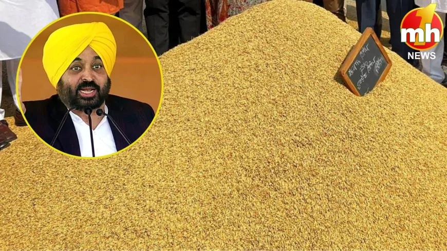 पंजाब में आज से शुरू होगी धान की खरीद, 1822 खरीद केंद्रों पर की जाएगी खरीद