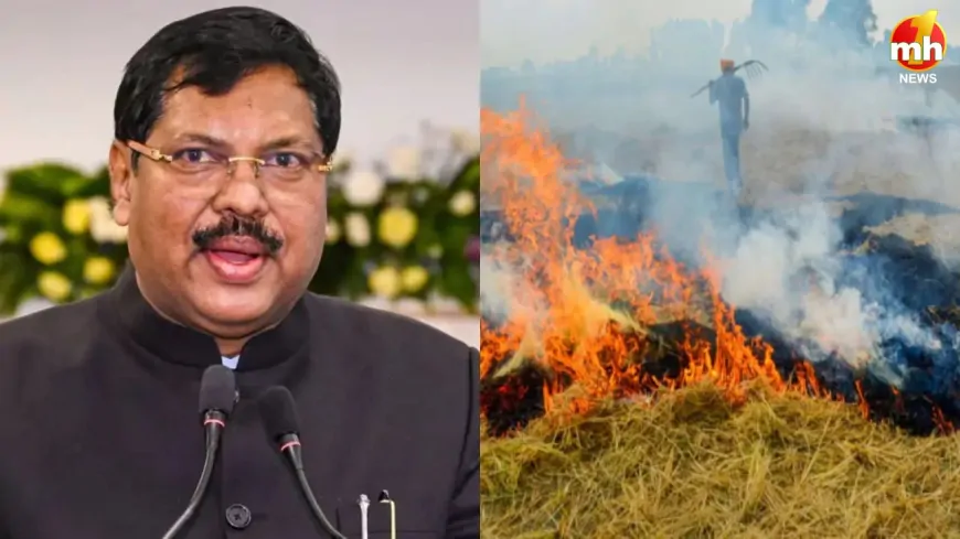 पराली जलाने पर सुप्रीम कोर्ट सख्त,  कुछ किसानों को जेल भेजने से मिलेगी नसीहत