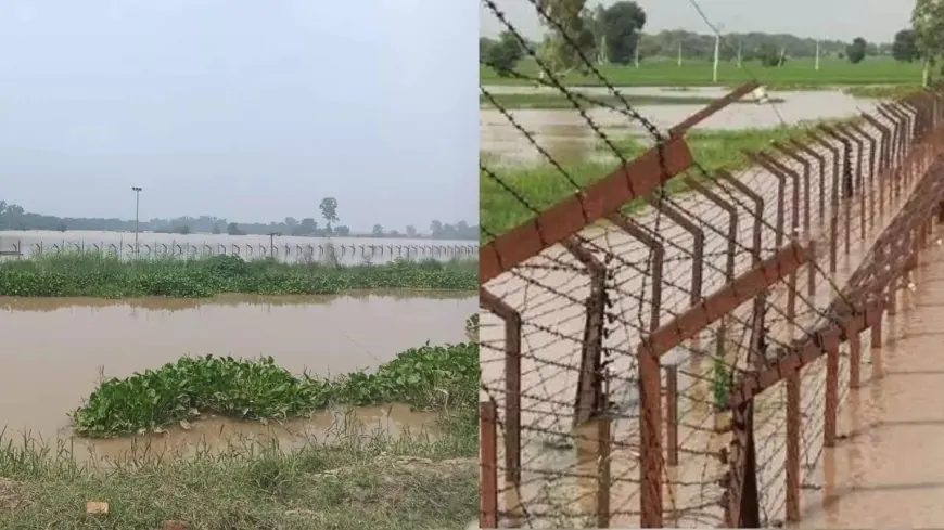पंजाब में बाढ़ के बाद धीरे-धीरे सामान्य हो रहे हालात, पंजाब में नदियों का तेजी से घट रहा जलस्तर