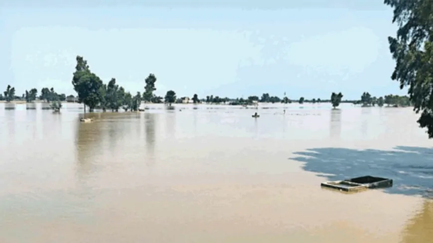 पंजाब में 2 दिन बारिश का अलर्ट: सतलुज नदी का जलस्तर फिर बढ़ा