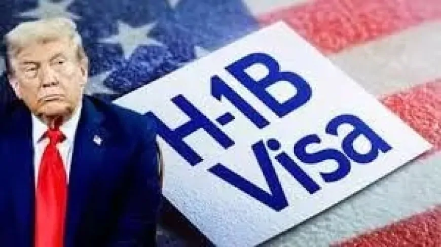 H-1B वीजा नियम पर कन्फ्यूजन दूर, ट्रंप प्रशासन ने दूर किया नए वीजा नियम पर कन्फ्यूजन
