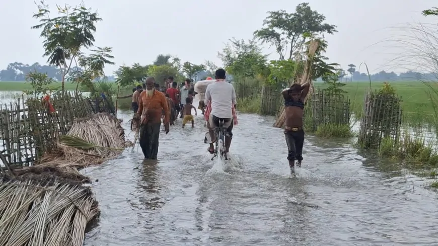सतलुज नदी ने बदला बहाव, लुधियाना के ससराली में किसानों की हालात चिंताजनक