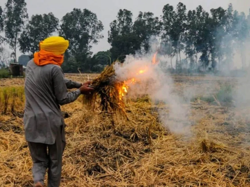 पंजाब में पराली जलाने पर सख्त कार्रवाई, जालंधर में एक किसान के खिलाफ केस दर्ज