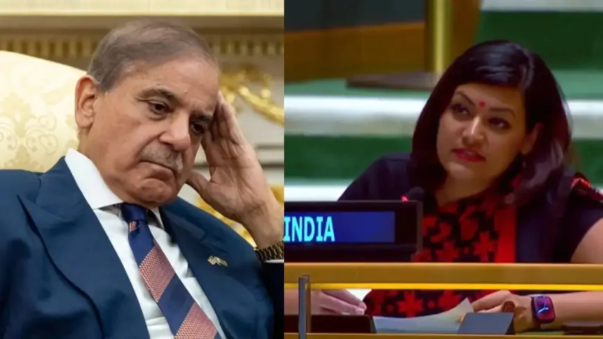 UN में भारत ने पाकिस्तान को दी चेतावनी, कहा- भारत-पाकिस्तान के बीच तीसरे पक्ष की जरूरत नहीं