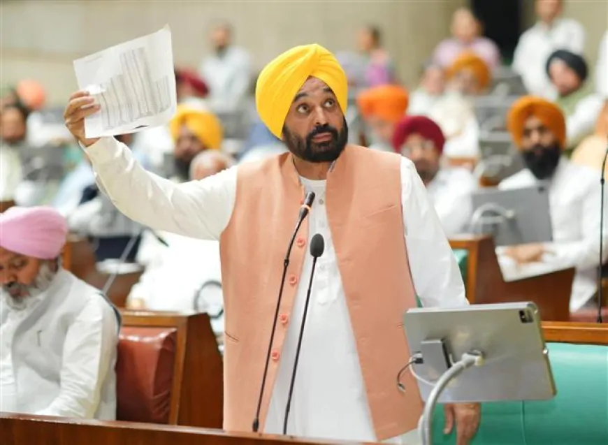 पंजाब विधानसभा का विशेष सत्र: सदन में पास हुआ पुनर्वास प्रस्ताव, 15 अक्टूबर से मिलेगा मुआवजा 