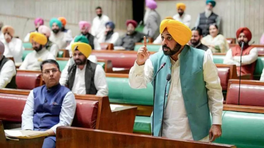 पंजाब विधानसभा का विशेष सत्र : सदन में पेश किया गया 'बीज (पंजाब संशोधन) विधेयक 2025'