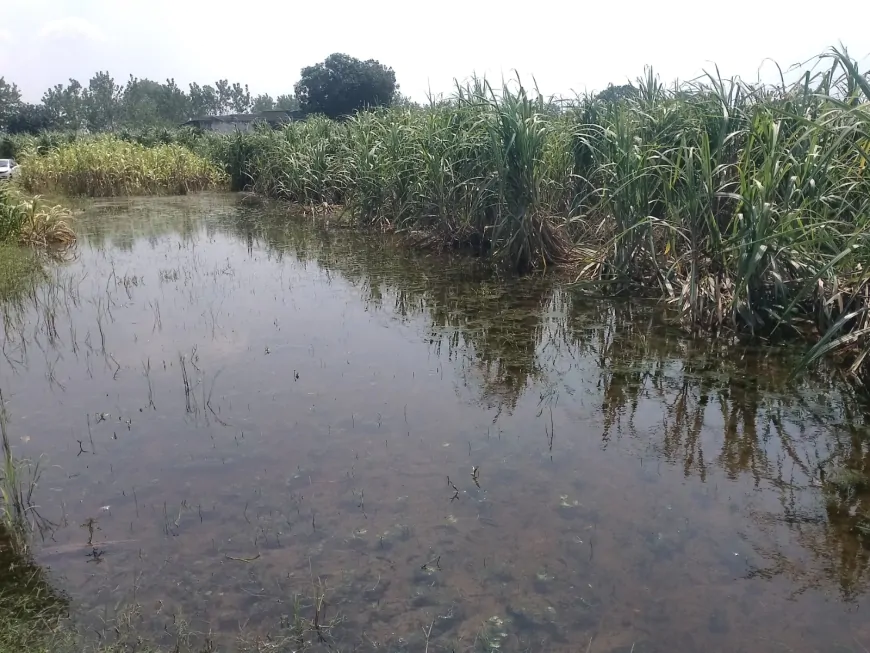 सतलुज नदी के पानी से किसानों को हो रही परेशानी, किसानों ने लगाई सरकार से मदद की गुहार