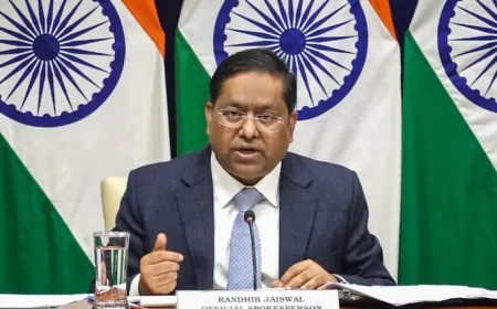 PoK में विरोध प्रदर्शनों पर भारत की कड़ी नजर, MEA ने पाकिस्तान पर लगाया मानवाधिकार उल्लंघन का आरोप