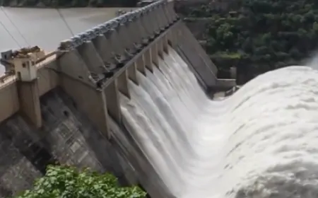 पंजाब में भारी बारिश का अलर्ट, भाखड़ा बांध के खोले गए फ्लड गेट 