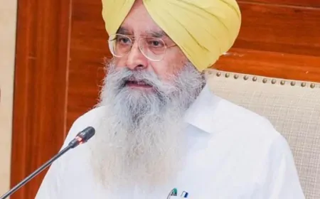 पंजाब सरकार का फसल विविधीकरण मिशन: ' पंजाब में 16.27% बढ़ा खरीफ मक्का का रकबा' 1,00,000  हेक्टेयर का आंकड़ा पार