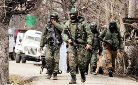 राजौरी में आतंकियों से मुठभेड़, इलाके में छिपे 4 आतंकियों को सुरक्षाबलों ने घेरा