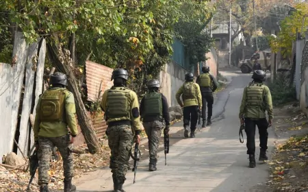 उधमपुर-अनंतनाग के जंगलों में चलाया गया सर्च ऑपरेशन, संदिग्ध गतिविधि देखे जाने के बाद चलाया गया अभियान