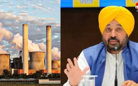 ₹641 करोड़ का 'ग्रीन पावर पंच'! नाभा पावर संग मान सरकार का क्लीन एनर्जी विज़न, 24x7 सस्ती बिजली और हजारों नौकरियां