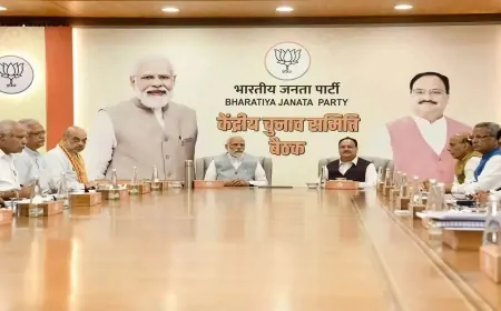 बिहार चुनाव पर BJP CEC की हुई बैठक, आज उम्मीदवारों की पहली लिस्ट जारी कर सकती BJP  