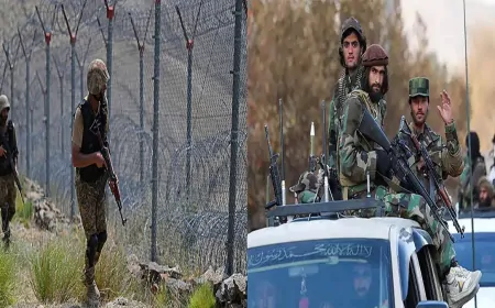 अफगानिस्तान और पाकिस्तान के बीच झड़प, पाकिस्तान के 58 सैनिकों को मार गिराने का किया दावा 