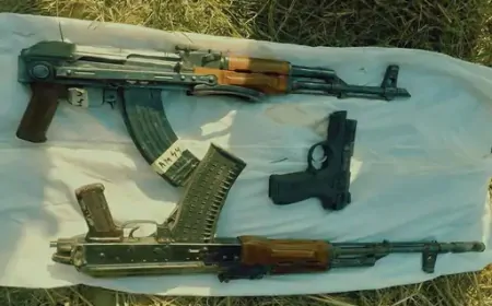 पंजाब में BSF ने भारत-PAK बॉर्डर से 2 AK-47 राइफल और जिंदा कारतूस किए बरामद 