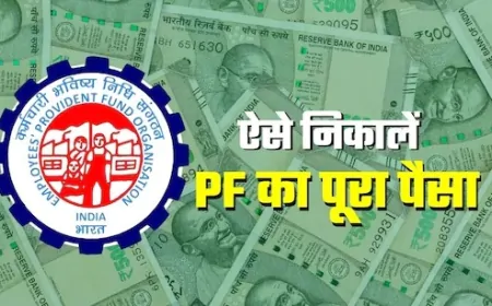 अब PF अकाउंट से निकाल सकेंगे 100 फीसदी रकम! ये है प्रोसेस