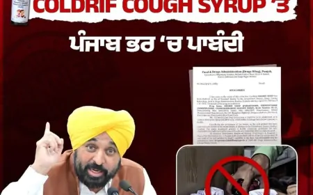 दवा माफिया की खैर नहीं! पंजाब सरकार ने लिया बड़ा Action! कंपनियों के खिलाफ सख्त कार्रवाई का ऐलान - कोल्ड्रिफ़ समेत 8 दवाओं पर लगाया कड़ा बैन