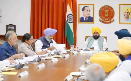 शहीदी शताब्दी पर सभी राज्यों के CM को न्योता देगी पंजाब सरकार, CM मान ने मंत्रियों की लगाई ड्यूटी 