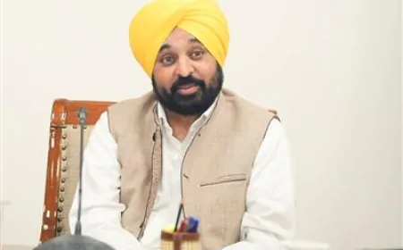 25 अक्टूबर को दिल्ली जाएंगे पंजाब CM मान, शहीदी दिवस पर आयोजित समागम में होंगे शामिल 