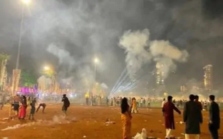 दिवाली पर जहरीली हुई पंजाब की हवा, पटाखों और पराली के धुएं से बिगड़े हालात