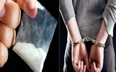 पंजाब में ‘युद्ध-नशे के विरुद्ध’ अभियान जारी, 4 किलो अफीम के साथ तस्कर गिरफ्तार