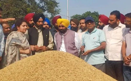 CM भगवंत सिंह मान ने मंडियों का जायजा लिया, किसानों और आढ़तियों से की बातचीत