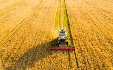 पंजाब में पराली जलाने की घटनाएं 75% घटी, किसान हो रहे जागरूक