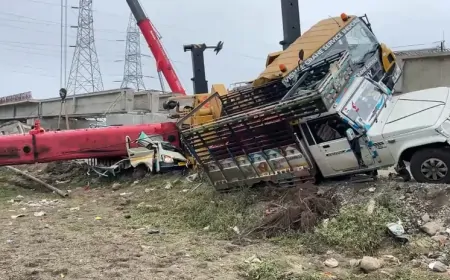 निर्माणाधीन रेलवे ब्रिज से गिरी क्रेन, 2 लोगों की मौत