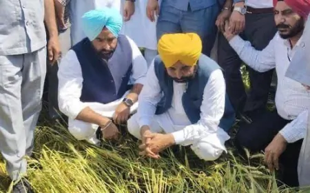 CM भगवंत सिंह मान खुद उतरे खेतों में, किसानों की समस्याओं का तुरंत हो रहा समाधान