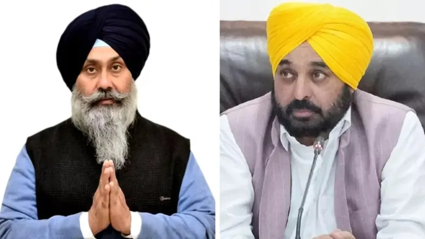 CM भगवंत सिंह मान ने  तरनतारन उपचुनाव में हरमीत सिंह संधू के नाम का किया ऐलान