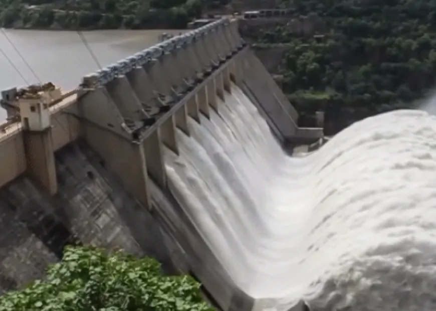 पंजाब में भारी बारिश का अलर्ट, भाखड़ा बांध के खोले गए फ्लड गेट 