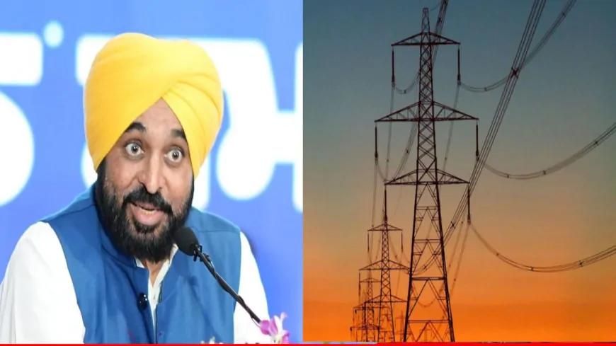 युवाओं के लिए पंजाब सरकार का बड़ा ऐलान, बिजली विभाग में मिलेगी 2500 लोगों को नौकरी