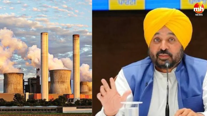 ₹641 करोड़ का 'ग्रीन पावर पंच'! नाभा पावर संग मान सरकार का क्लीन एनर्जी विज़न, 24x7 सस्ती बिजली और हजारों नौकरियां