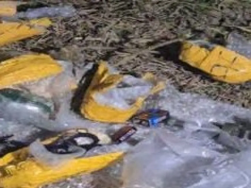 दिवाली से पहले पंजाब को जलाने की कोशिश नाकाम, खेत से 3 हैंड ग्रेनेड और RDX बरामद 