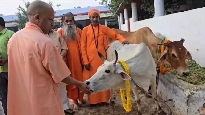 CM योगी ने गोवर्धन पूजा की दी शुभकामनाएं, बोले- ये पर्व गौ सेवा की भावना का प्रतीक है