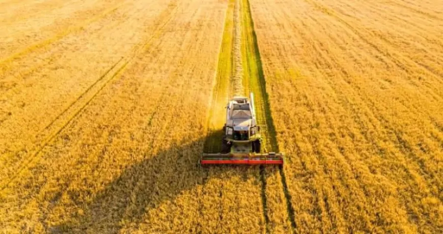 पंजाब में पराली जलाने की घटनाएं 75% घटी, किसान हो रहे जागरूक