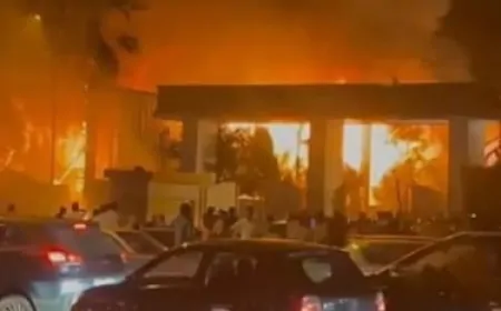 मोहाली : पटाखों के कारण शादी पैलेस में लगी भीषण आग, सिलेंडर फटने से मची भगदड़ 