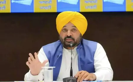 CM भगवंत सिंह मान की 'बिज़नेस क्लास' ने पंजाब को बनाया 'स्टार्टअप स्टेट'! डिग्री के साथ कमाई' की गारंटी